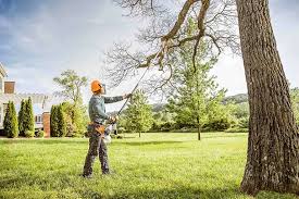 Best Tree Health Inspection  in Central Heights Midland City, AZ